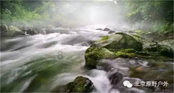 植物大战僵尸14